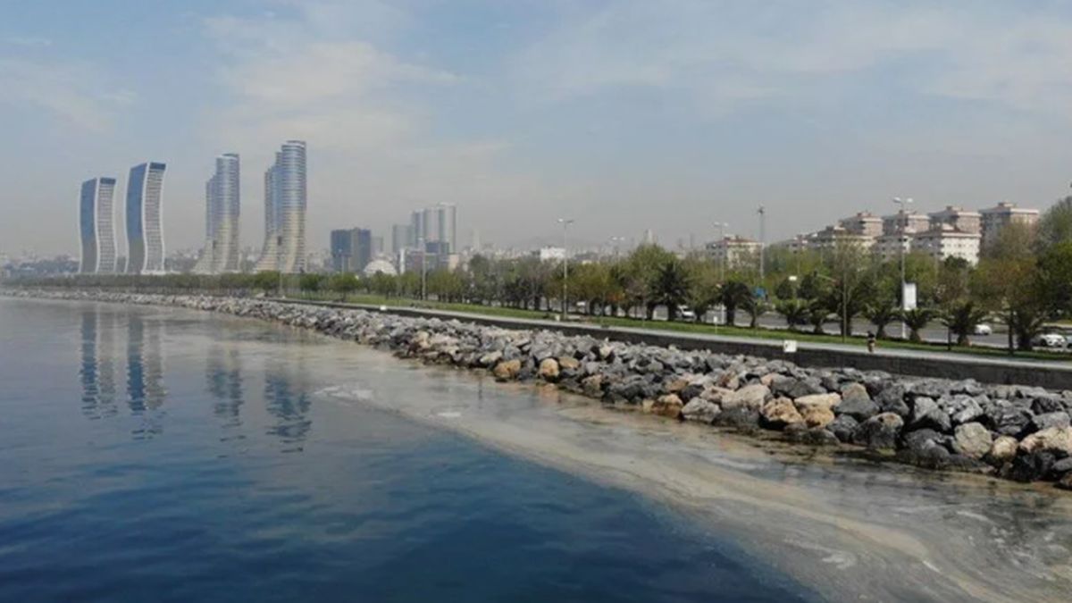 Pendik Sahil Yolu Oflaz — zemin uygulaması